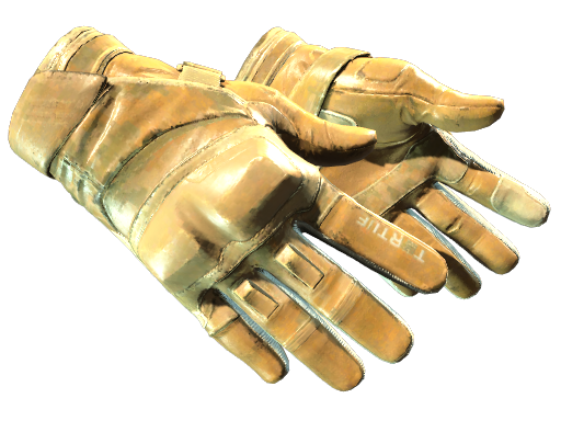 Primary image of skin ★ Moto Gloves | Transport