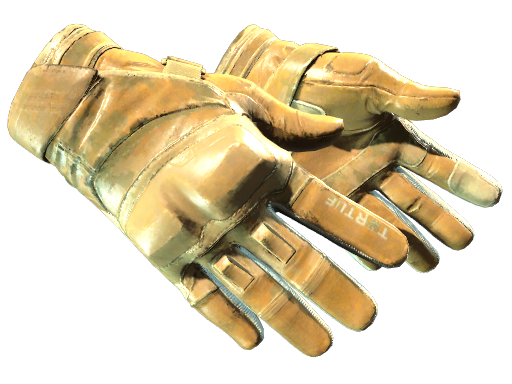 Default of skin ★ Moto Gloves | Transport