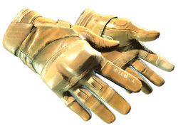 ★ Moto Gloves | Transport (Field-Tested)