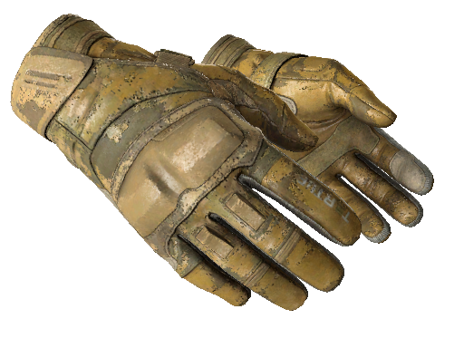 ★ Moto Gloves | Transport (Battle-Scarred)