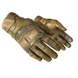 ★ Moto Gloves | Transport (Battle-Scarred)