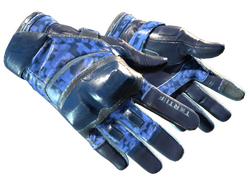 ★ Moto Gloves | Polygon