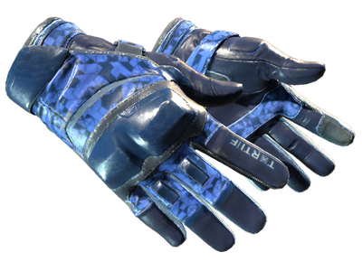 Motorradhandschuhe (★) | Polygon
