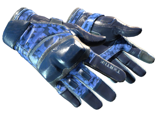 ★ Moto Gloves | Polygon