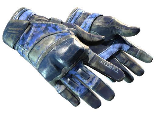 Primary image of skin ★ Moto Gloves | Polygon