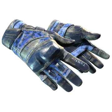 ★ Moto Gloves | Polygon