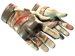 ★ Moto Gloves | POW!