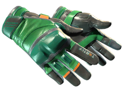 ★ Moto Gloves | Turtle