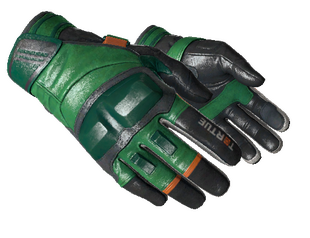 ★ Moto Gloves | Turtle