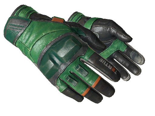 Moto Gloves | Turtle (Field-Tested) — Cкины CS:GO/CS2 на CS.MONEY