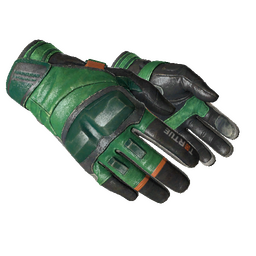 free cs2 skins ★ Moto Gloves | Turtle (Field-Tested)