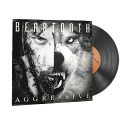 free csgo skin StatTrak™ Music Kit | Beartooth, Aggressive