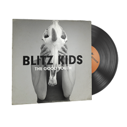 free csgo skin StatTrak™ Music Kit | Blitz Kids, The Good Youth