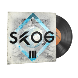 StatTrak™ Music Kit | Skog, III-Arena