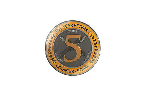 5 Year Veteran Coin Lootmarket Com