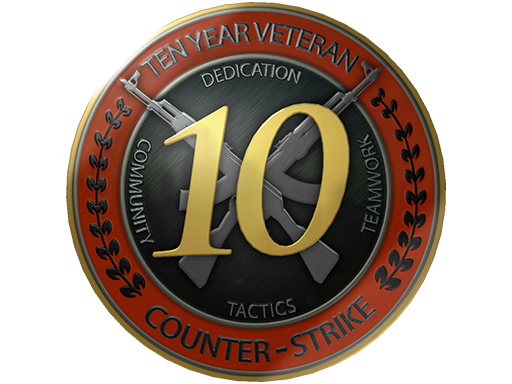 10 Year Veteran Coin