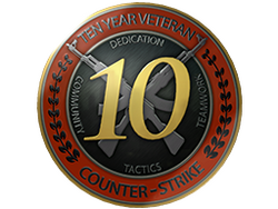 10 Year Veteran Coin