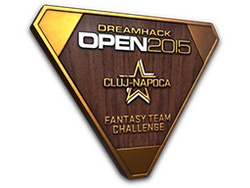 Bronze Cluj-Napoca 2015 Fantasy Trophy
