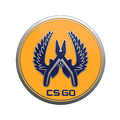 Guardian 2 Pin