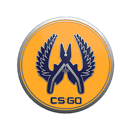 free csgo skin Guardian 2 Pin