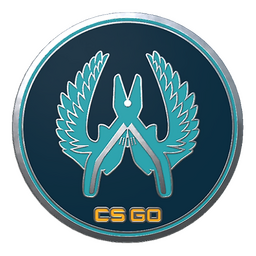 Pin on CS:GO