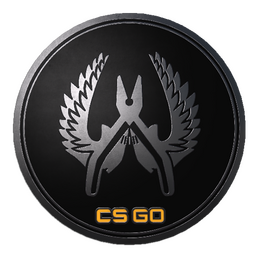 Guardian Elite Pin