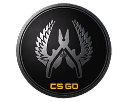 Guardian Elite Pin