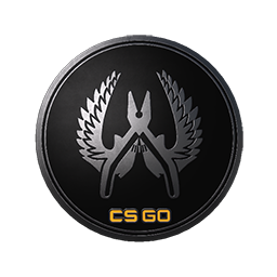 free cs2 skins Guardian Elite Pin