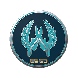 free csgo skin Guardian Pin