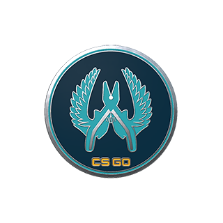 Cs pin