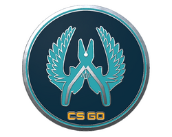 Guardian Pin