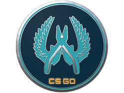 Guardian Pin
