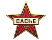 Cache Pin