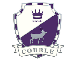 Cobblestone Pin