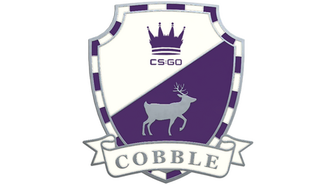 Cobblestone Pin
