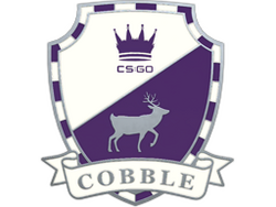 Genuine Cobblestone Pin