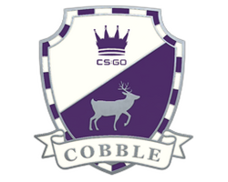 Cobblestone Pin