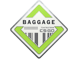 Pin de Baggage