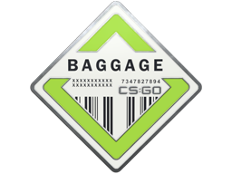 Baggage Pin