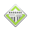 Baggage Pin