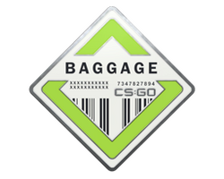 Baggage Pin