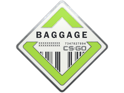 Baggage Pin