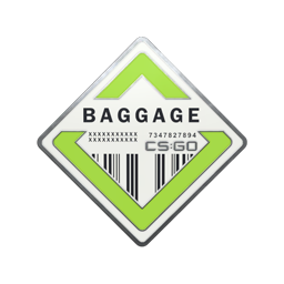 free csgo skin Baggage Pin