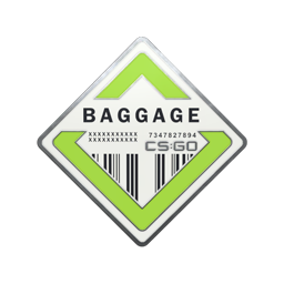 Baggage Pin