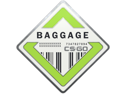 Baggage Pin