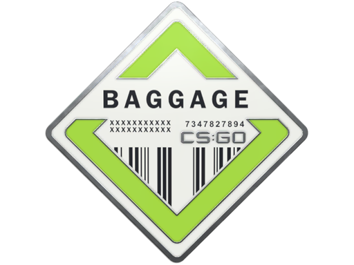Pin - Baggage