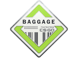 Baggage Pin