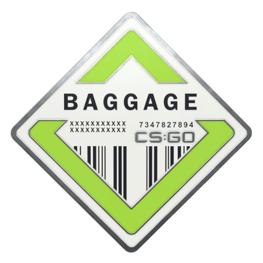 Baggage Pin