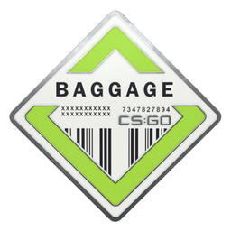 Baggage Pin