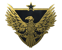 Brigadier General Pin